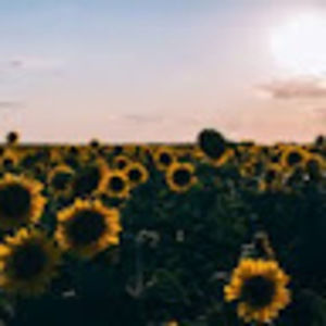 Meet your Posher, Kayson